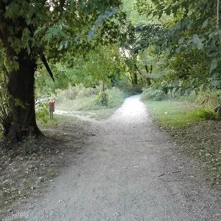 アパート Vittadinisette パヴィーア