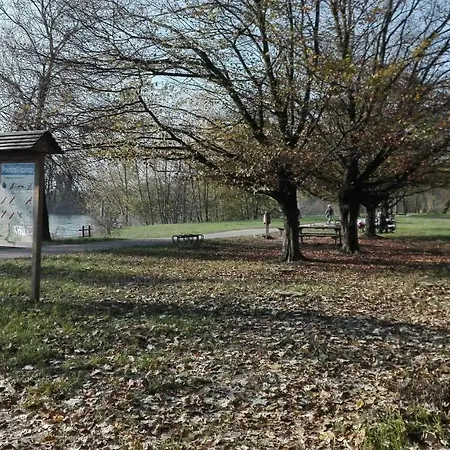 Vittadinisette פאביה